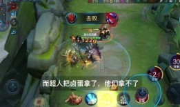 王者小白龙爆料视频