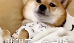 今日八卦爆料合集,今日八卦爆料合集大揭秘