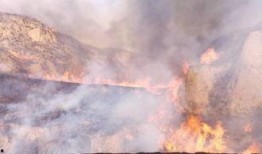 潍坊山火爆料视频,潍坊山火爆料事故惊心动魄瞬间