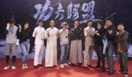 功夫联盟在线观看完整版,热血集结，巅峰对决